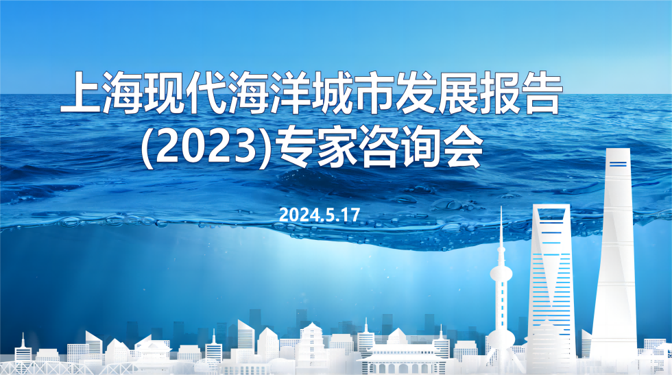 麦哲中国总经理杨东受邀参加上海现代海洋城市发展报告(2023)专家咨询会