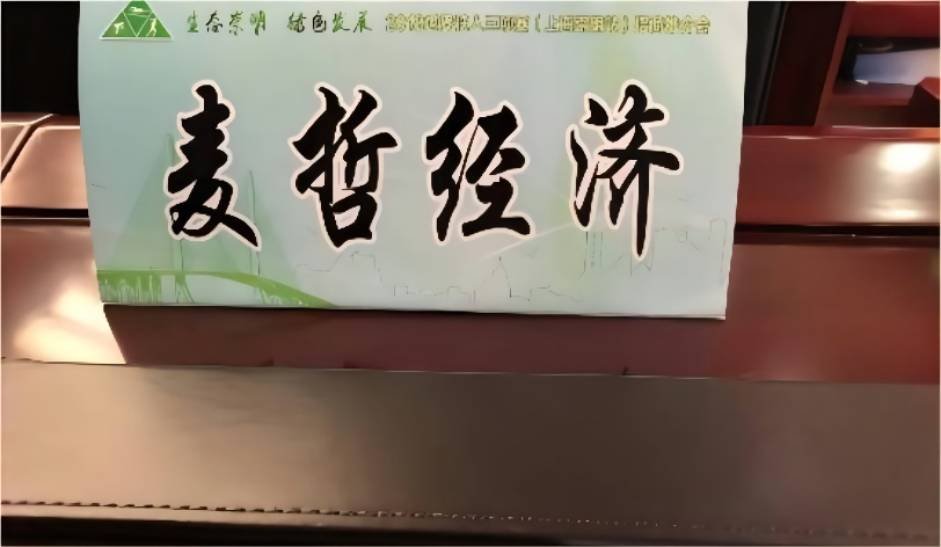 麦哲经济崇明招商推介会(1)(1).jpg