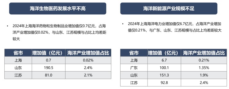 20250814图片3.jpg